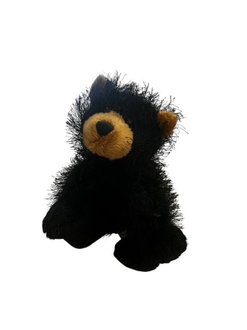 Webkinz Ganz Black Bear Plush